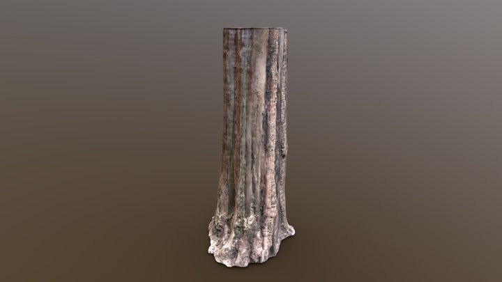 Crape Myrtle - Photogrammetry Scan – Modèle 3D gratuit STL