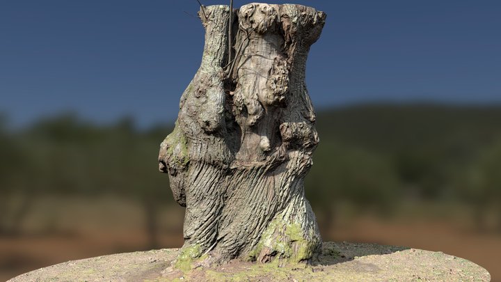 Chestnut tree 02 – Gratis 3D-model STL