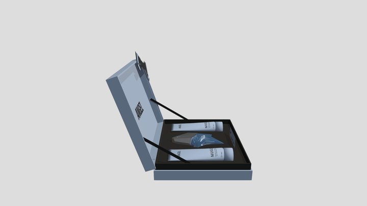 Boite Angel mugler 3D Model