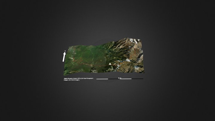 狮子王 – Modello 3D gratuito STL