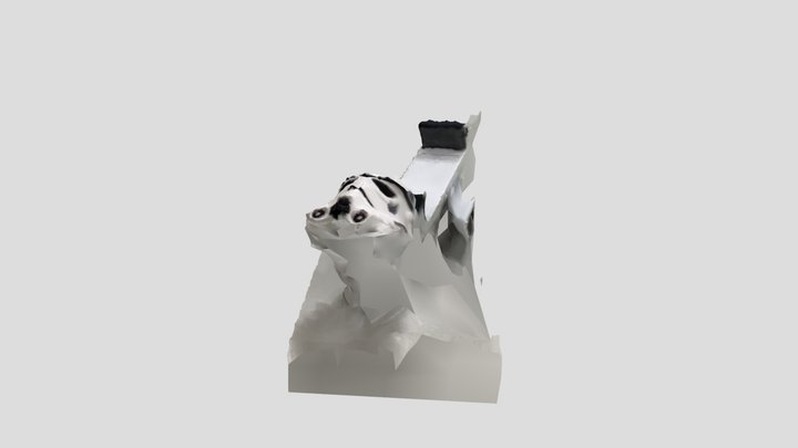 Scan 2022-12-08T03:19:47.971Z 3D Model