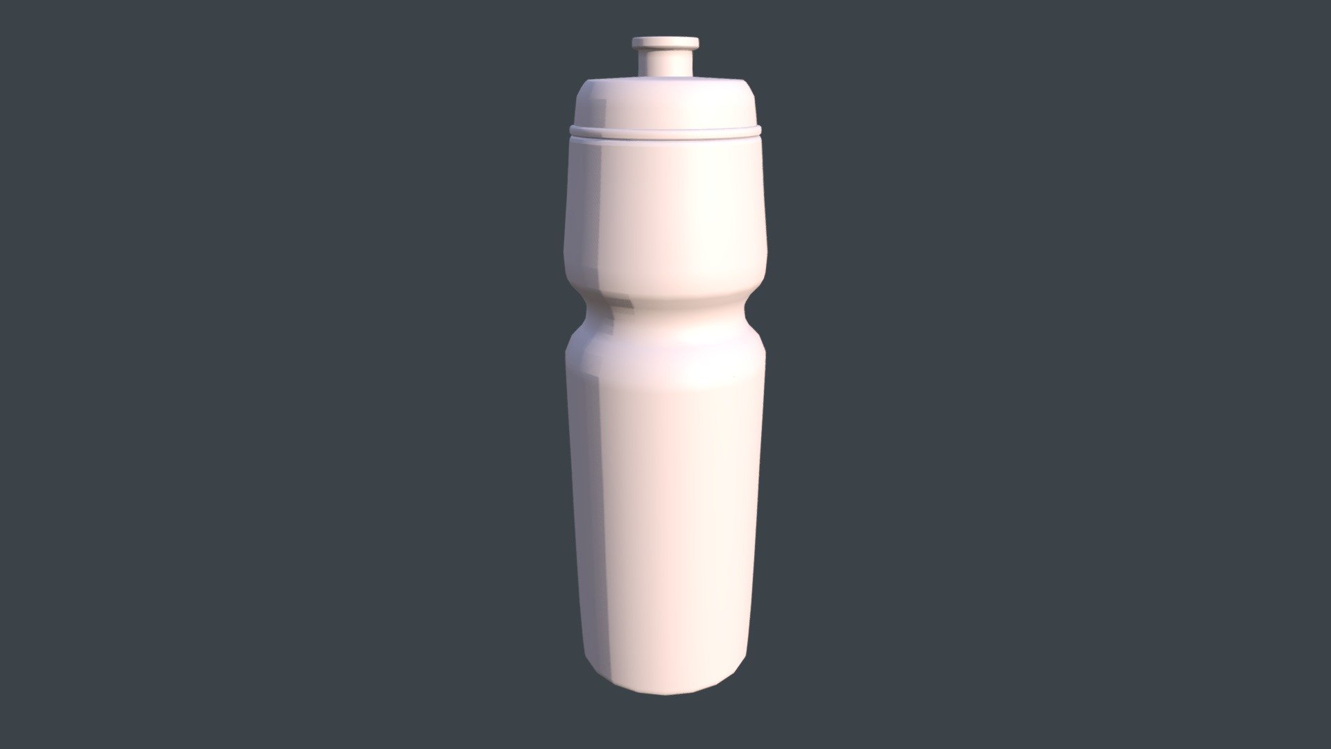 Sport Water Bottle