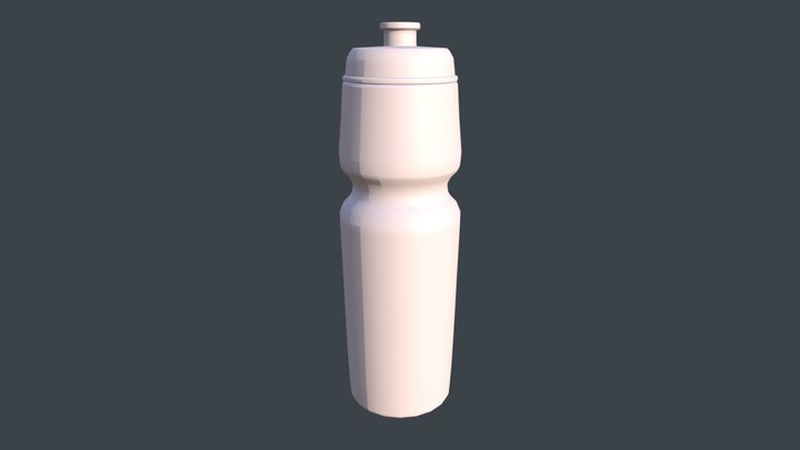 Sport Water Bottle 3D Model