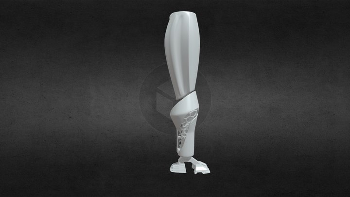 2GD - High poly Prostethic leg 3D Model