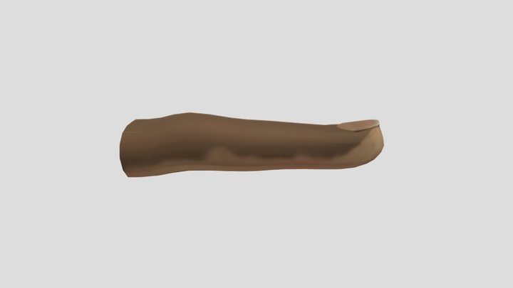 Finger 3D Model