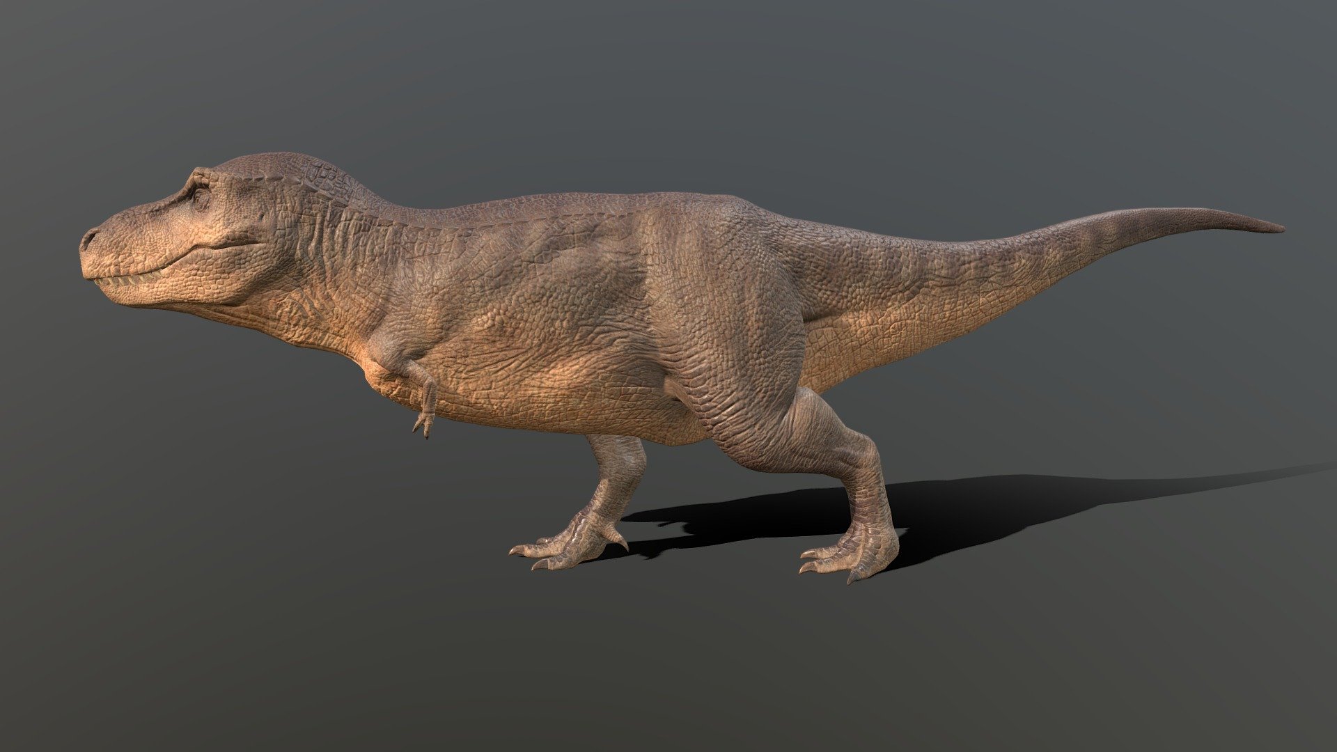 google dinosaur t-rex 3D Model in Computer 3DExport