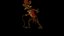 Loading 3D Model