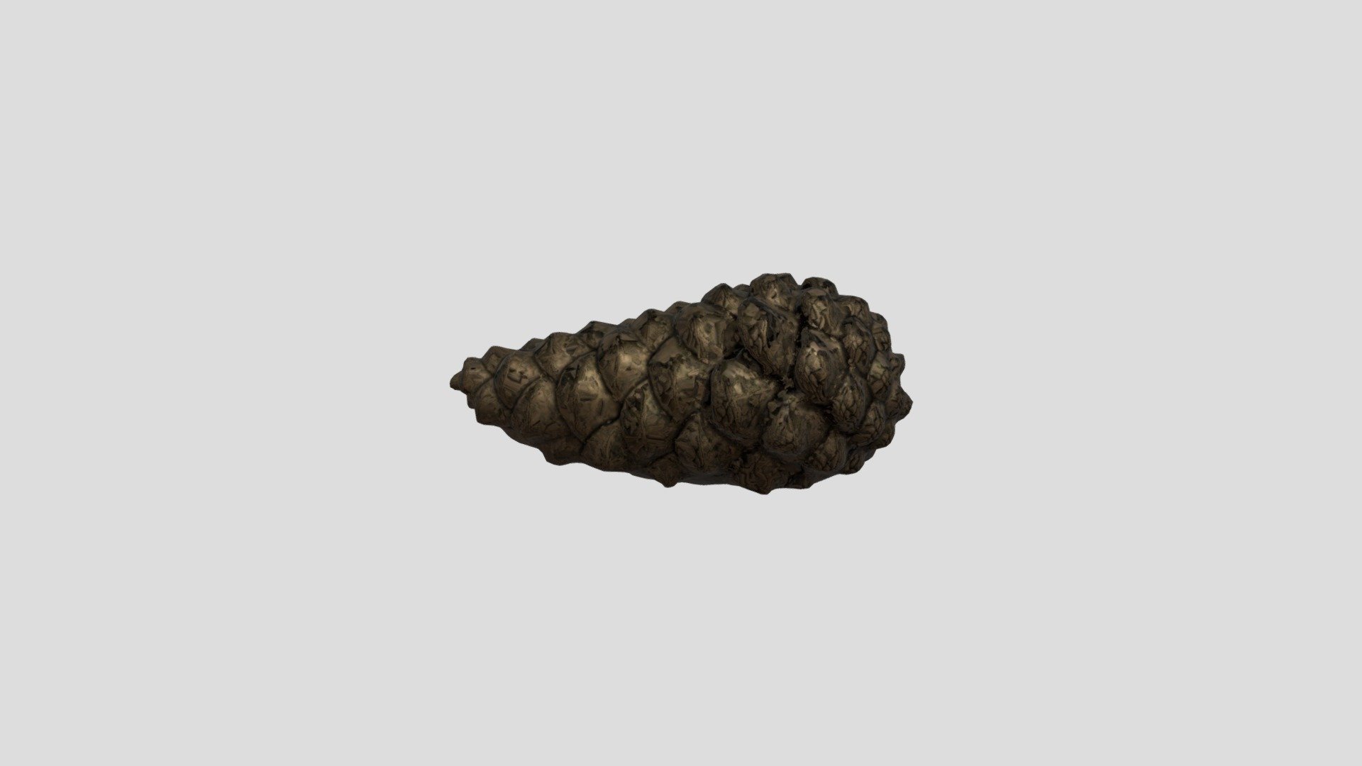 Pinecone — Sketchfab embed 3D viewer