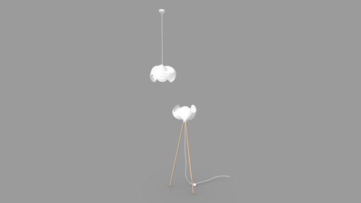 2 3D Model
