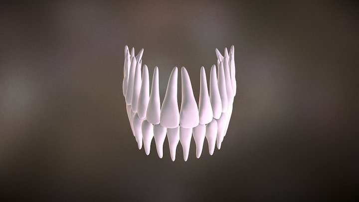 Estructura dental 3D Model