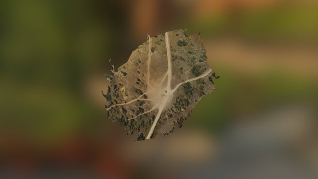 Cumberland Pass 3D Model