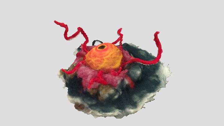 Eye - Needle Felt 3D Model
