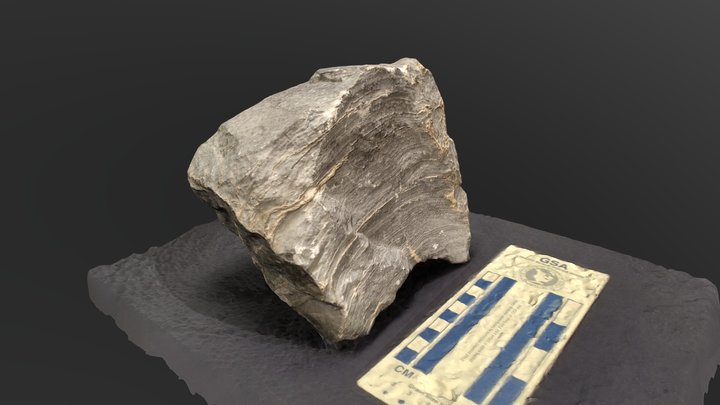 Stromatolite – Free 3D Model STL