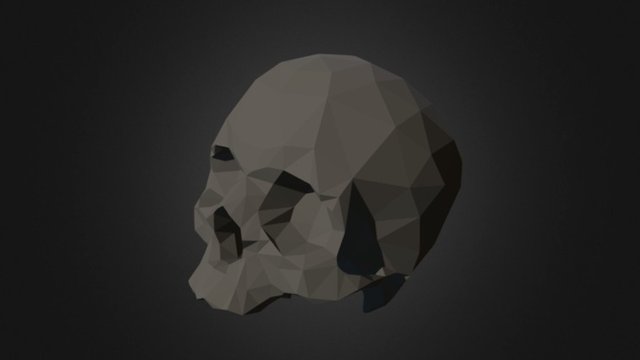 Skull 3D Model