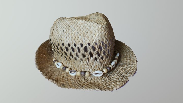 A nice hat 3D Model