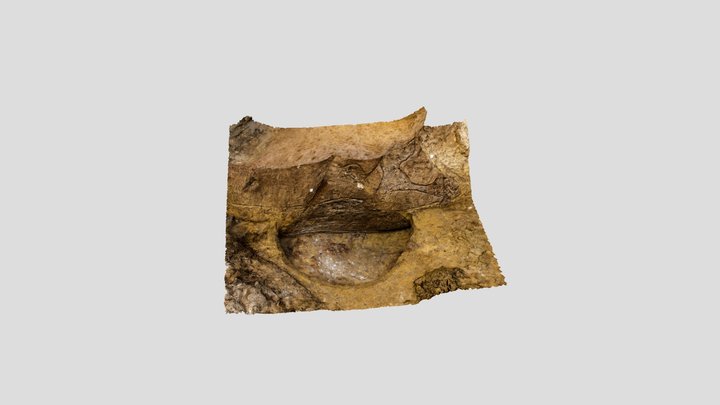 Pits from the Bronze Age 3D Model