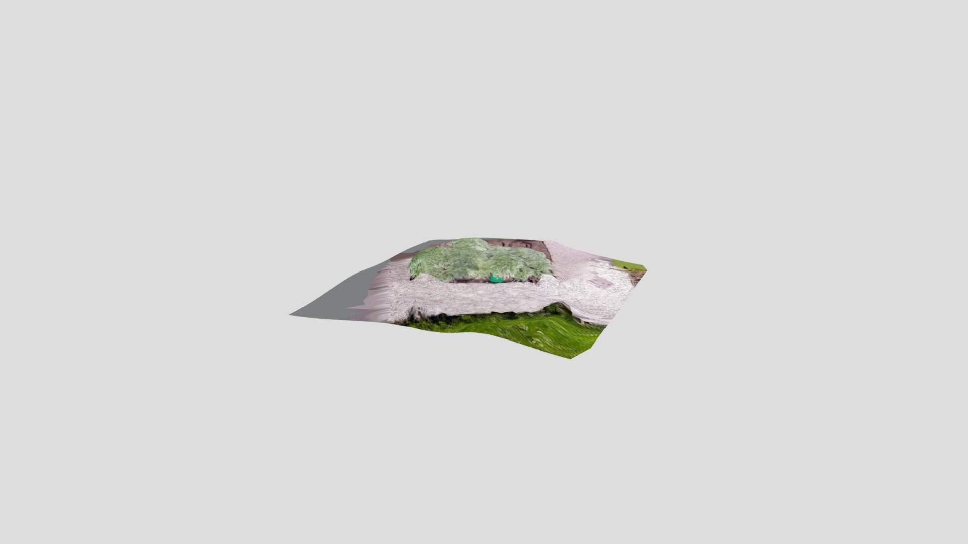 plant_05 — Sketchfab embed 3D viewer
