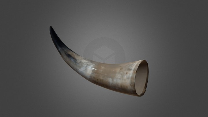 Horn 01 3D Scan 3D Model
