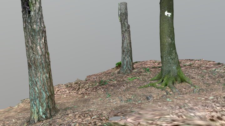 LiDAR Scanner in iPad Pro 2020 3D Model
