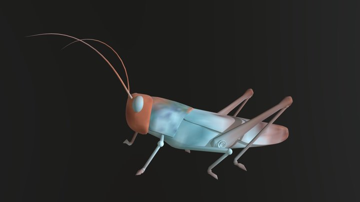 grasshopper 3D Model