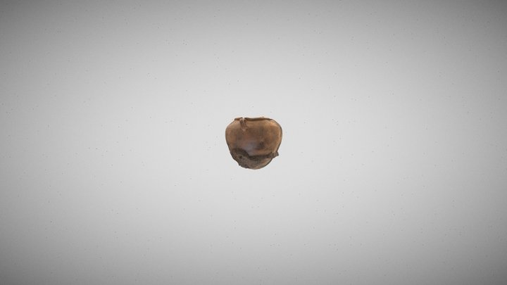 COCU_T1A_C1_URNA FUNERARIA 3D Model