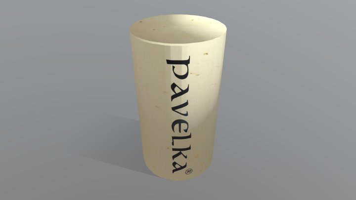 Pavelka_celokorek-a-opravene-logo_v1_PLAN 3D Model