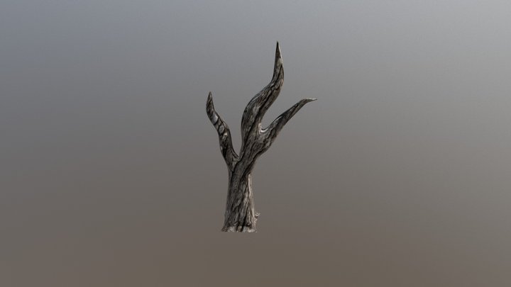Tree Model 3D Model