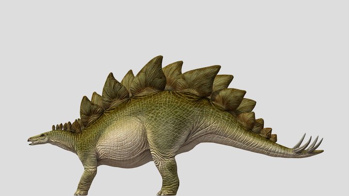 DracoWarrior's Stegosaurus – Modello 3D gratuito STL