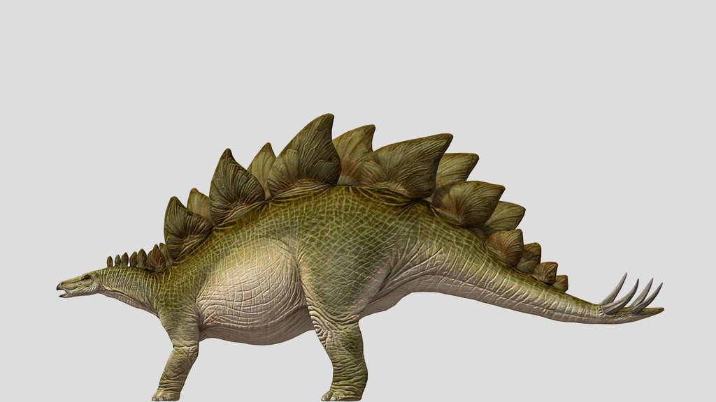 DracoWarrior's Stegosaurus