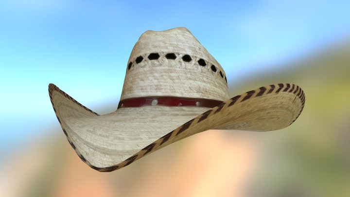 Sombrero hat 3D scan