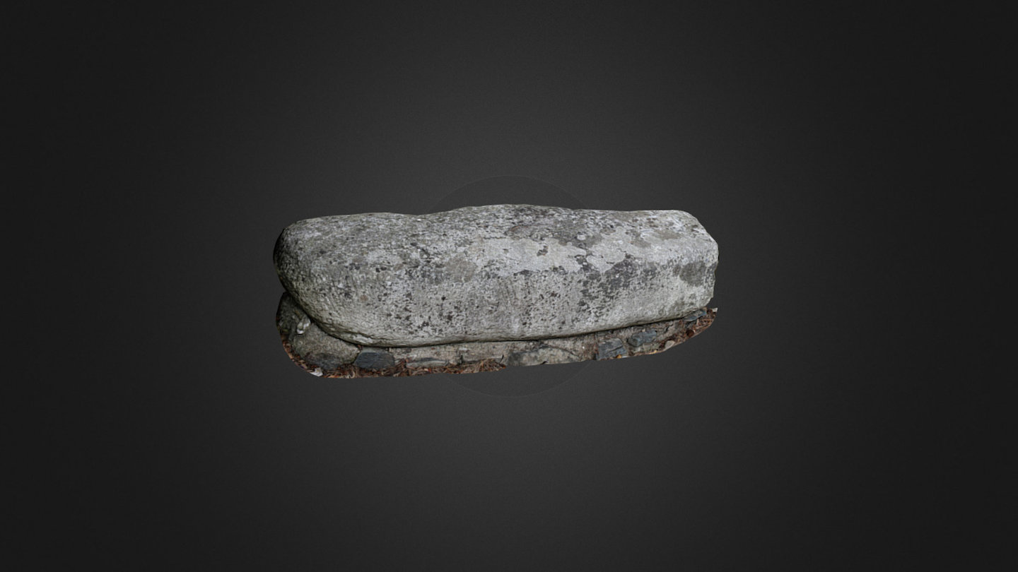 Castletimon ogham stone