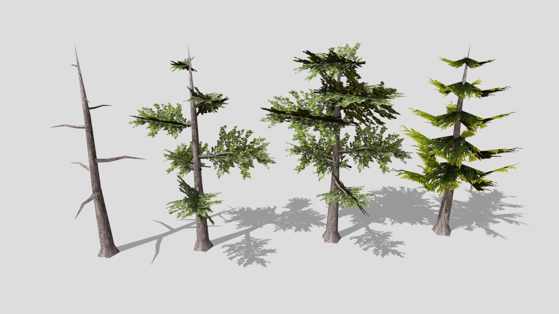 Arboles de baja resolución