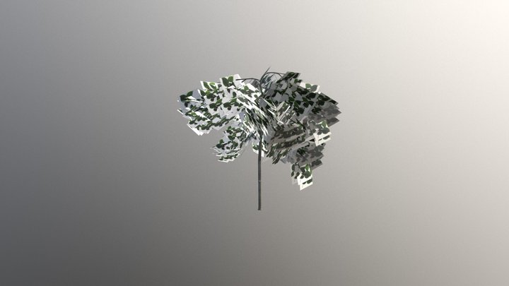 2 3D Model