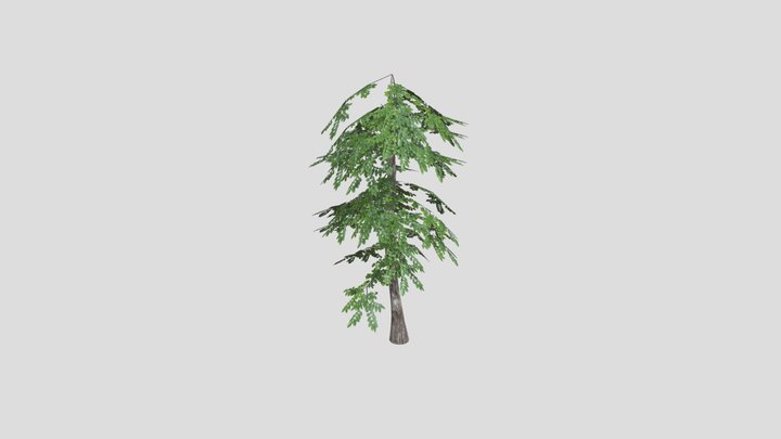 Tree1 3D Model