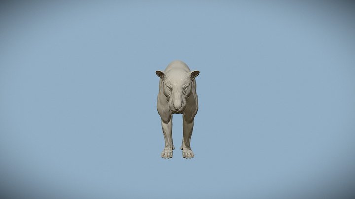 Low Poly Lion 3D Model