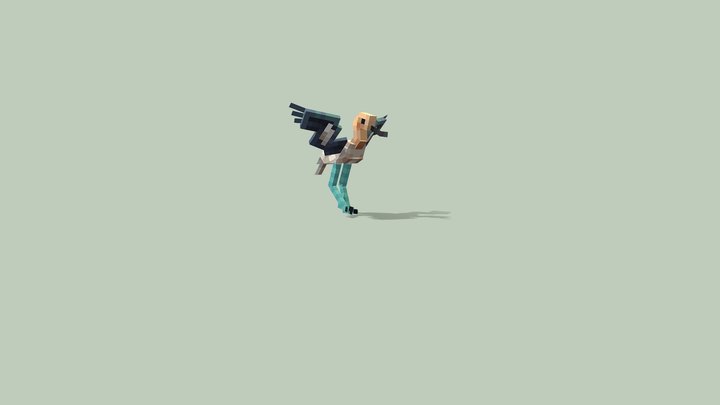 Avocet bird((DONE)) 3D Model