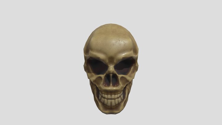 Human_skull 3D Model