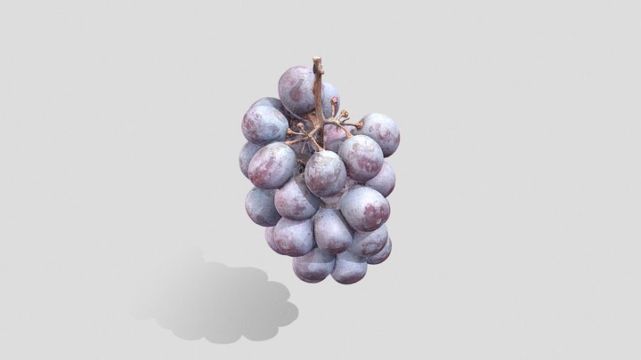 A grape variety "Pione" 3D Model