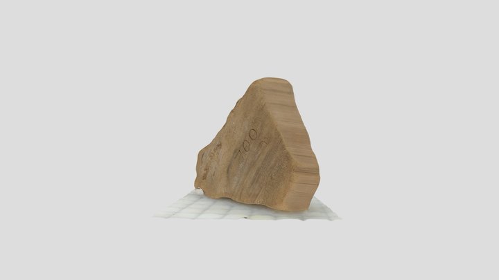 Driftwood 3D Model