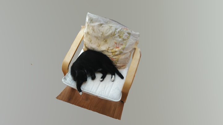 Chester 3D Model