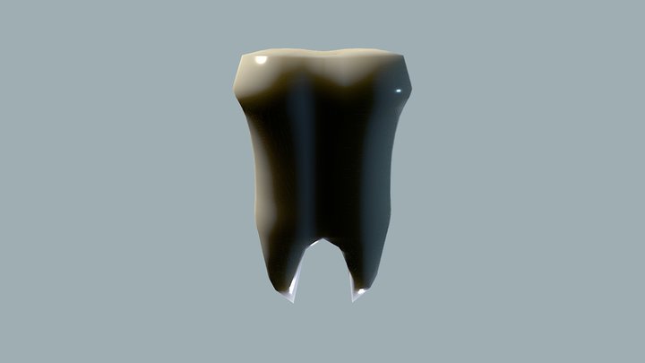 Tooth Model 3D Model
