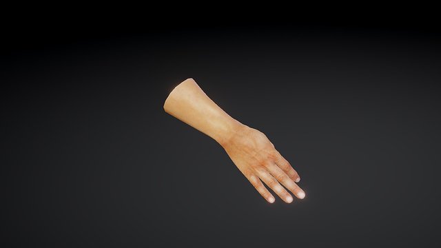 Hand animation test 3D Model