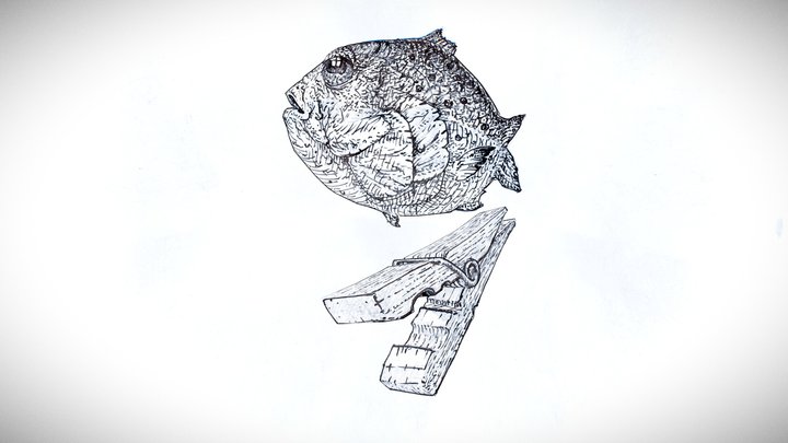 Fish 3D Model