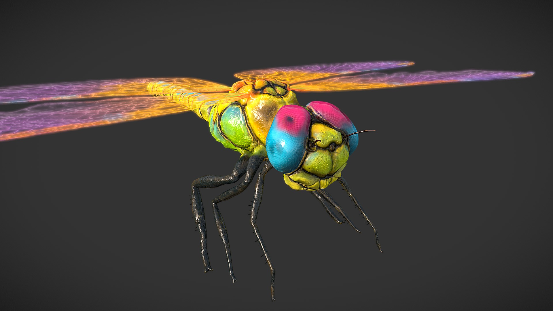 3D model Low poly detailed colorful dragonfly - This is a 3D model of the Low poly detailed colorful dragonfly. The 3D model is about a colorful insect with wings.
