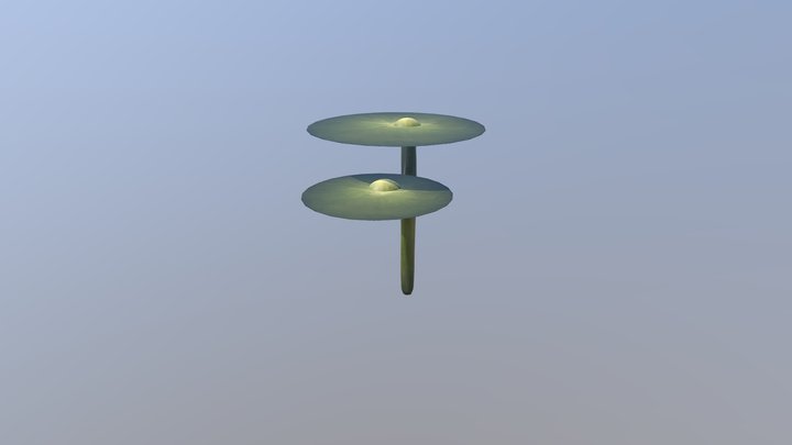 Plant 3 3D Model