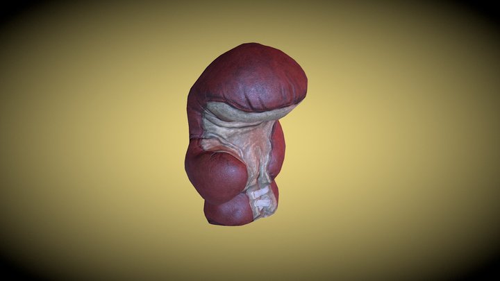 Old boxing glove 3D Model