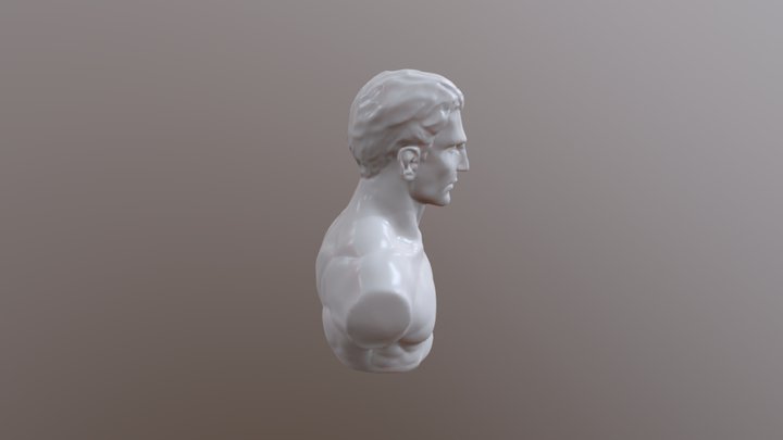 Head 4 3D Model
