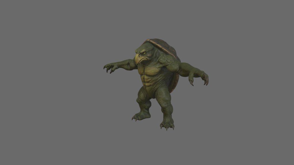 Muscular turtle
