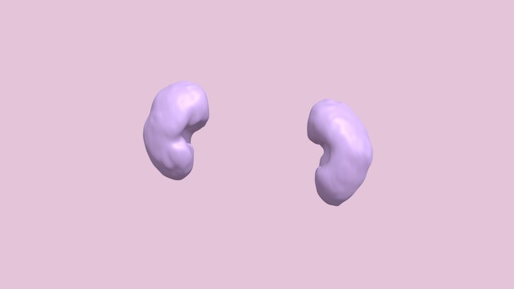 Kidney Beans 3D Model