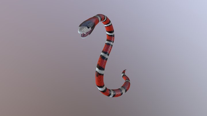 Snake Test 3D Model